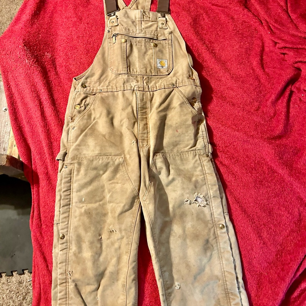 Men’s carhartt bibs